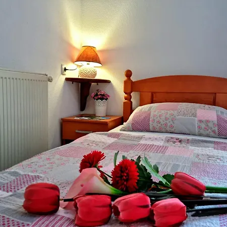 Hotel Pansion &